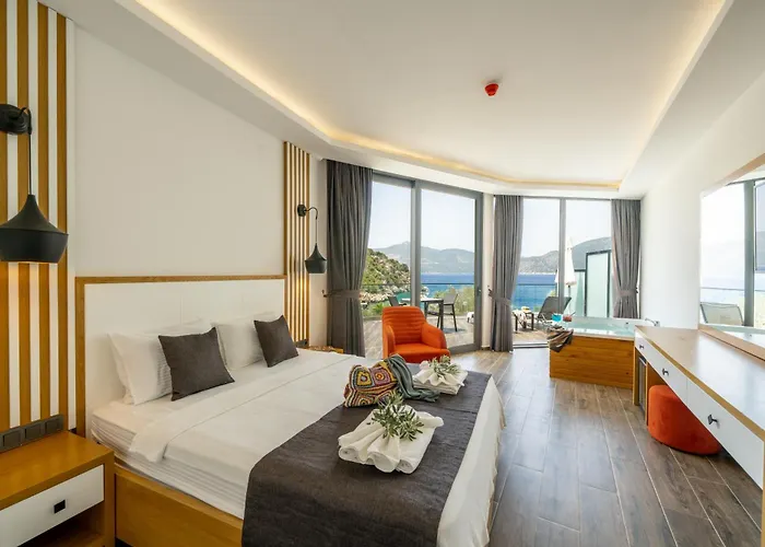 酒店 Kalkan Park *